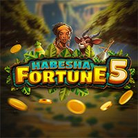 IJP88 - SMARTSOFT Habesha Fortune
