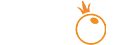 IJP88 - PP